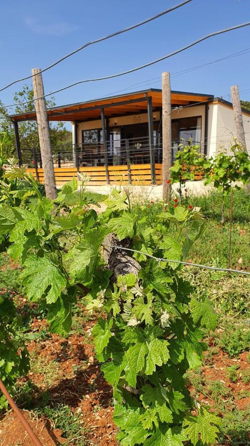 Collis Winery - Family & Friends - Mobilhome Ρόβινι Εξωτερικό φωτογραφία