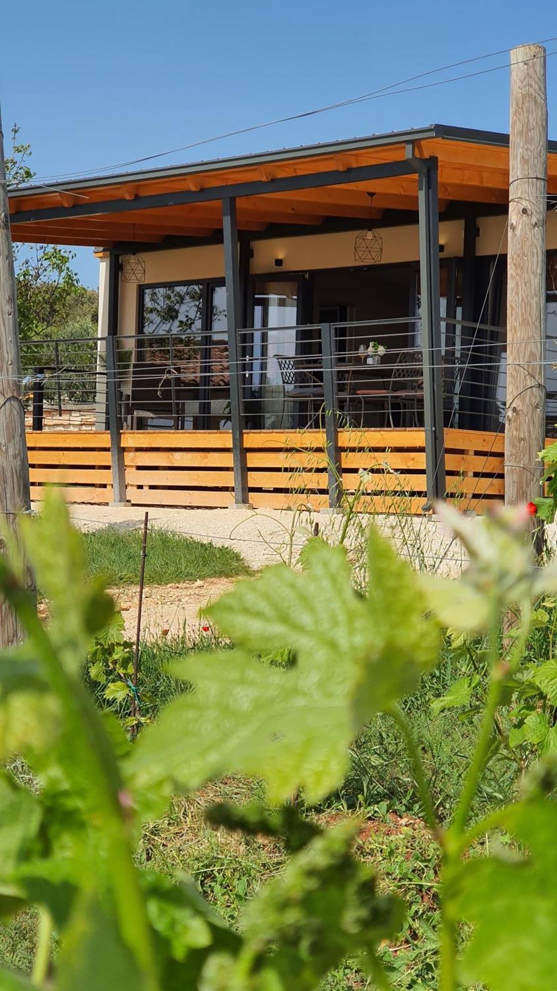Collis Winery - Family & Friends - Mobilhome Ρόβινι Εξωτερικό φωτογραφία