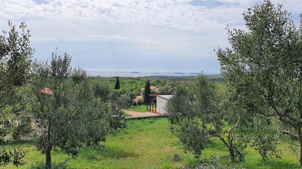 Collis Winery - Family & Friends - Mobilhome Ρόβινι Εξωτερικό φωτογραφία