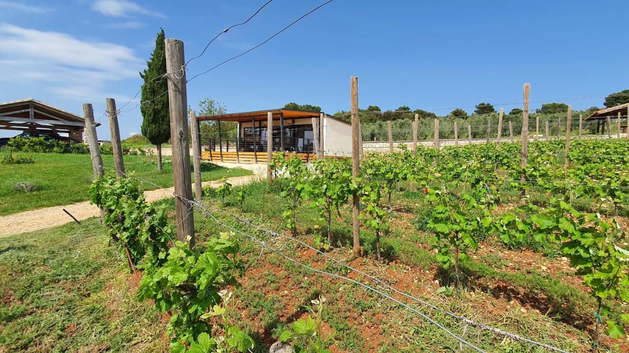 Collis Winery - Family & Friends - Mobilhome Ρόβινι Εξωτερικό φωτογραφία